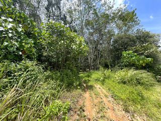 For sale land in Takua Thung, Phang Nga