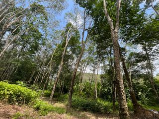 For sale land in Takua Thung, Phang Nga