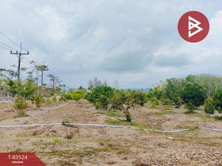 For sale land in Palian, Trang