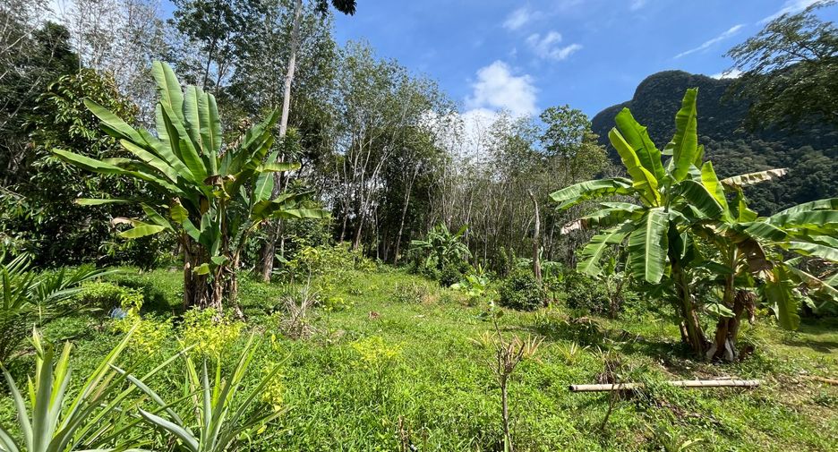 À vendre terrain à Mueang Krabi, Krabi