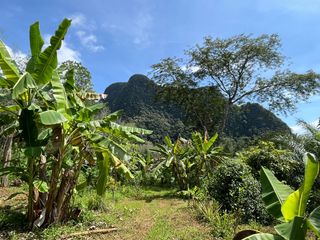Terreno en venta en Mueang Krabi, Krabi