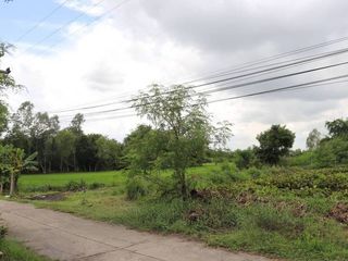 For sale land in Ban Mi, Lopburi