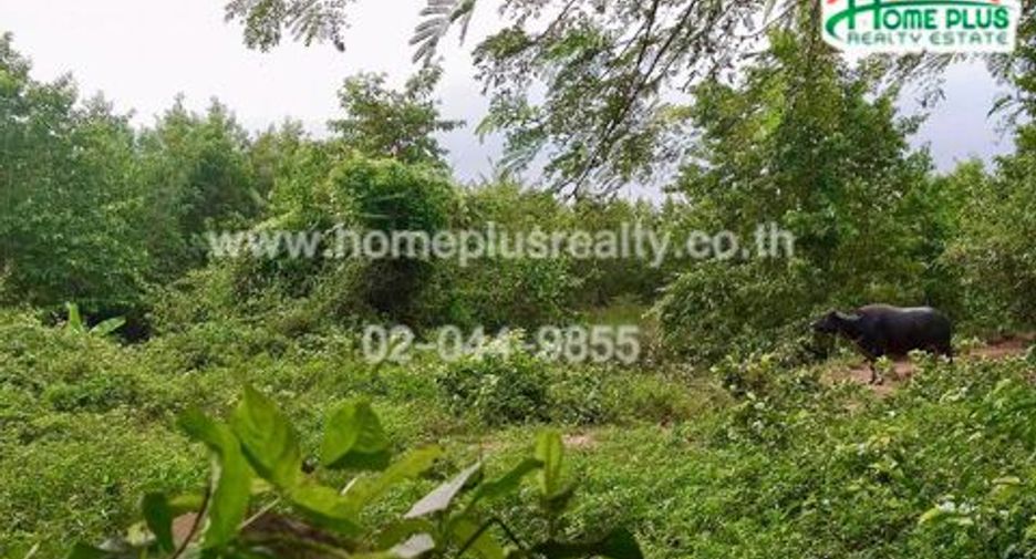 Продажа Участок в Mueang Udon Thani, Удонтани