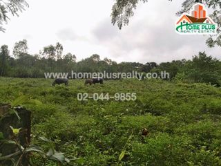 Продажа Участок в Mueang Udon Thani, Удонтани