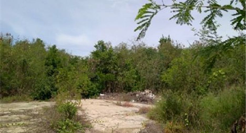 For sale land in Si Prachan, Suphan Buri