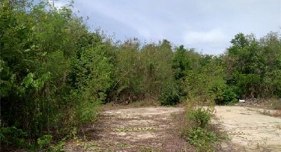 For sale land in Si Prachan, Suphan Buri