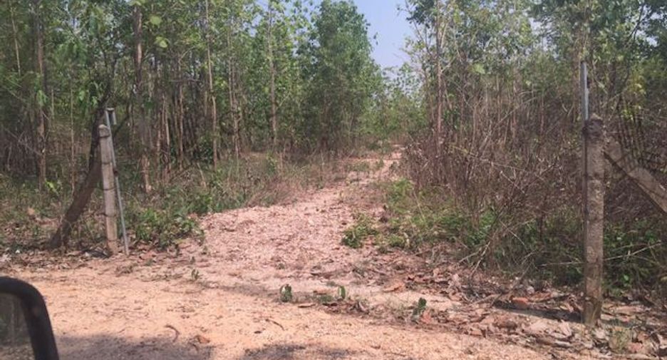 For sale land in Phu Phiang, Nan