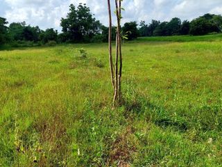 For sale land in Sakhrai, Nong Khai