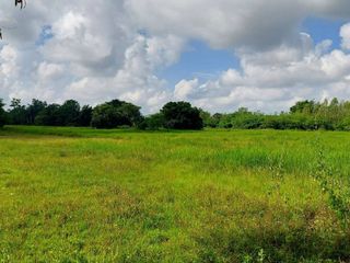 For sale land in Sakhrai, Nong Khai