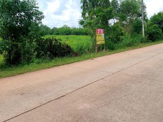 For sale land in Sakhrai, Nong Khai