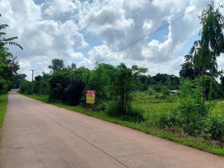 For sale land in Sakhrai, Nong Khai