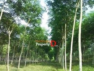Продажа Участок в Mueang Yasothon, Yasothon