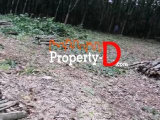 Продажа Участок в Mueang Yasothon, Yasothon
