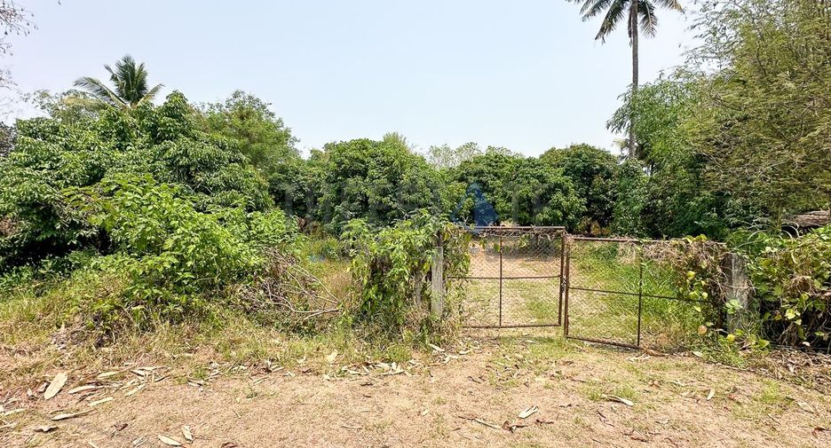 For sale land in Mae On, Chiang Mai