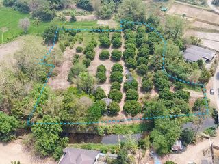 For sale land in Mae On, Chiang Mai