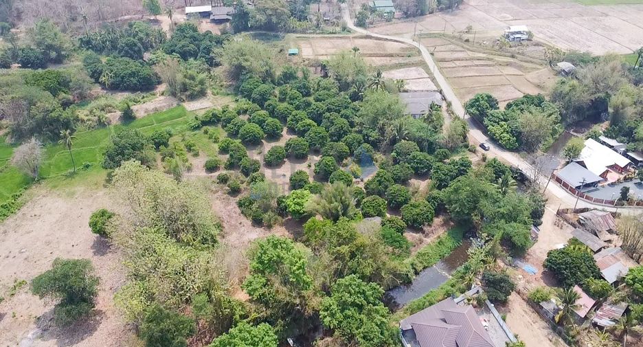 For sale land in Mae On, Chiang Mai