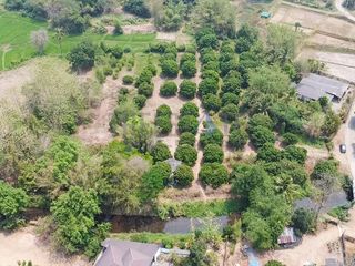 For sale land in Mae On, Chiang Mai