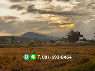 For sale land in Mae Chan, Chiang Rai