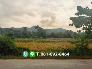 For sale land in Mae Chan, Chiang Rai