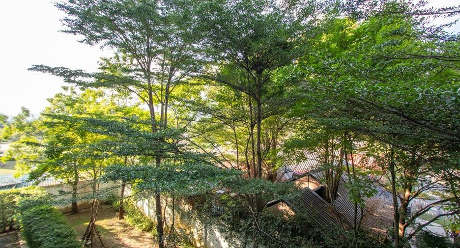For sale 1 bed condo in Mueang Chiang Mai, Chiang Mai