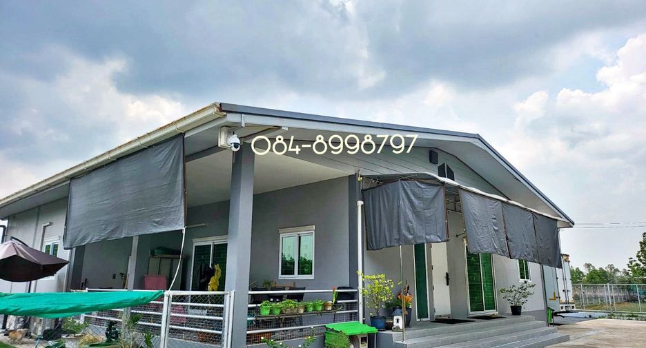 For sale land in Nong Phai, Phetchabun