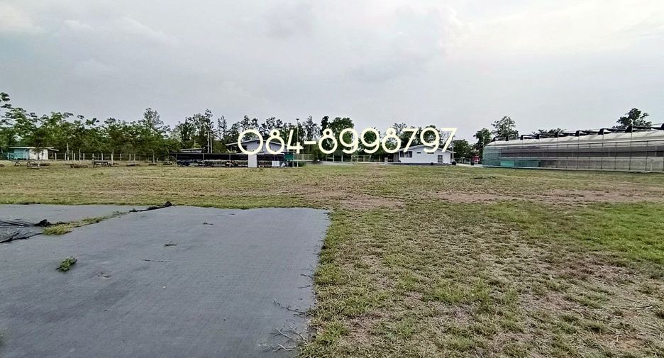 For sale land in Nong Phai, Phetchabun