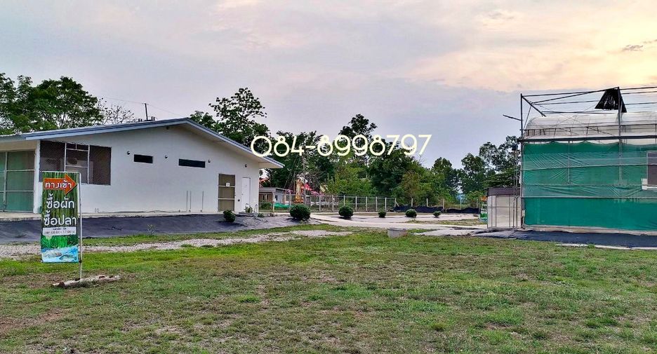 For sale land in Nong Phai, Phetchabun