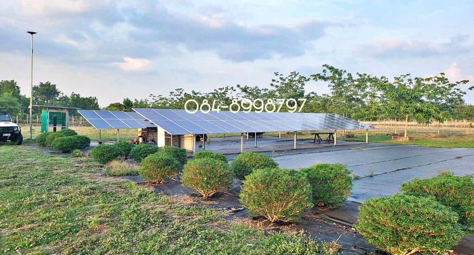 For sale land in Nong Phai, Phetchabun