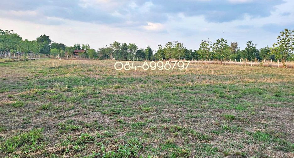 For sale land in Nong Phai, Phetchabun