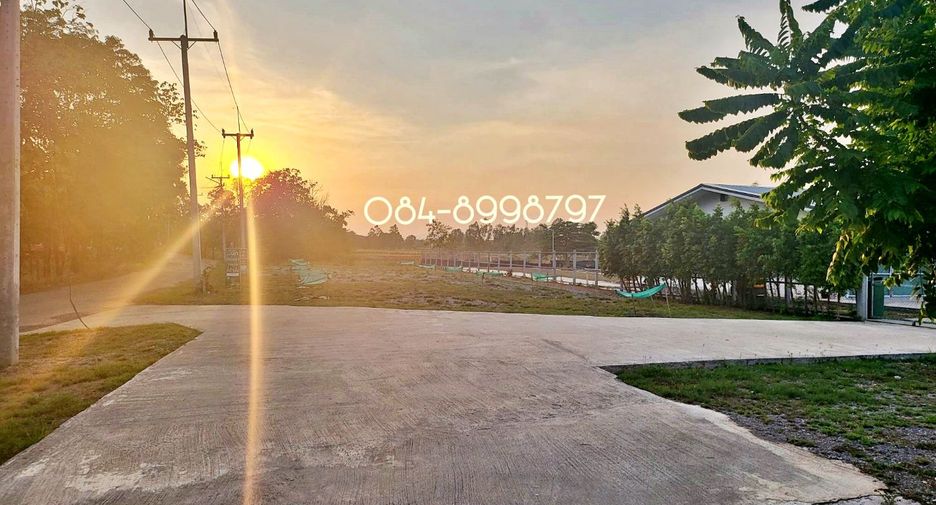 For sale land in Nong Phai, Phetchabun
