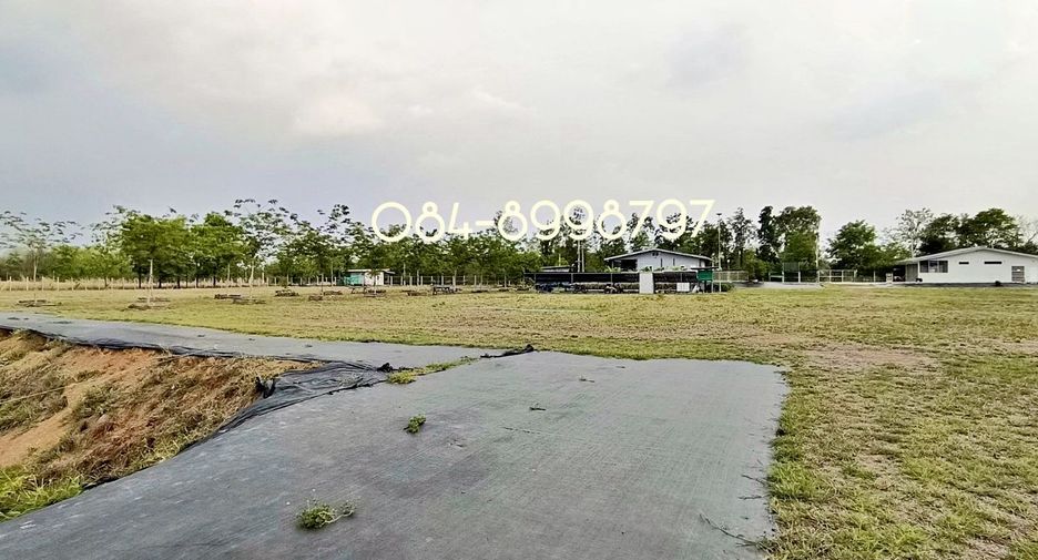 For sale land in Nong Phai, Phetchabun