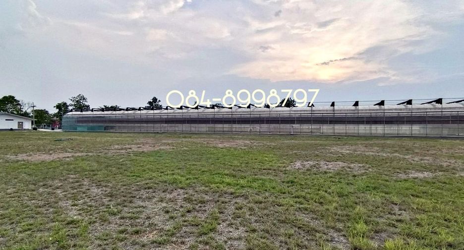 For sale land in Nong Phai, Phetchabun