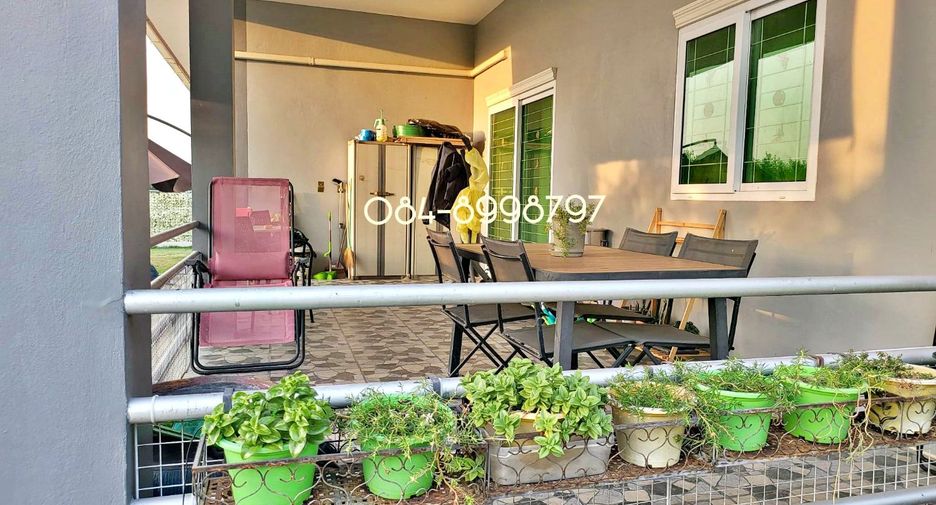 For sale land in Nong Phai, Phetchabun