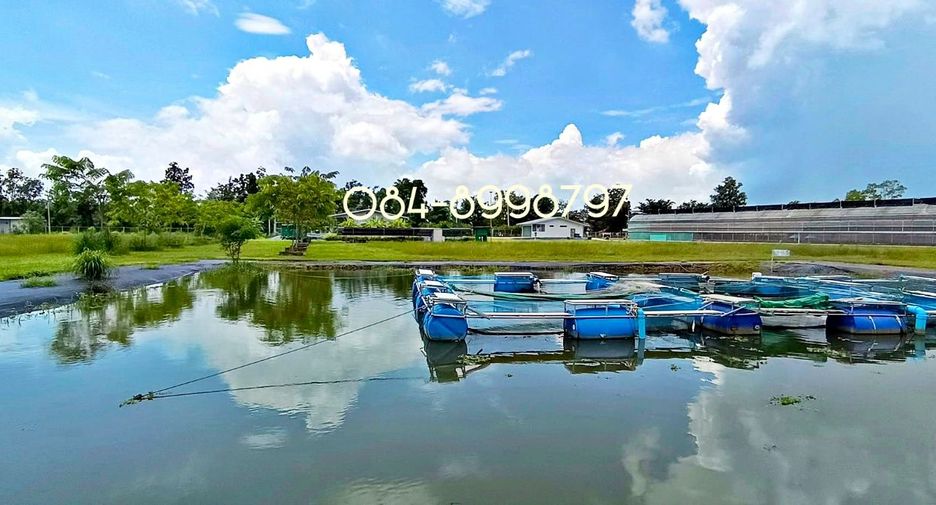For sale land in Nong Phai, Phetchabun