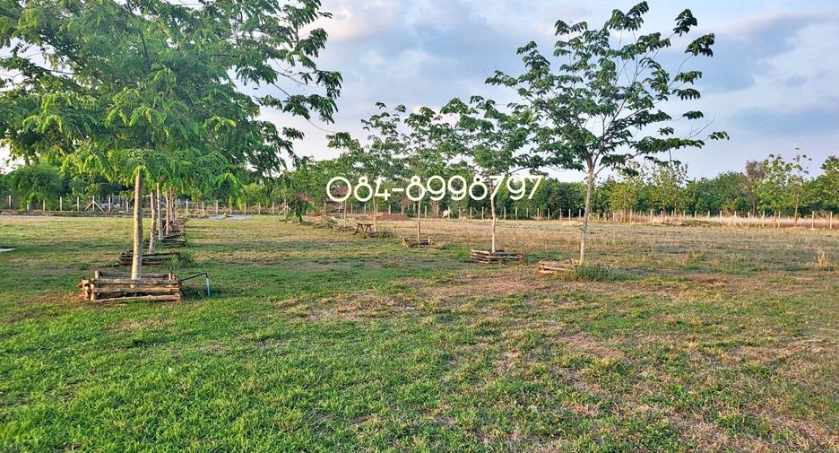 For sale land in Nong Phai, Phetchabun