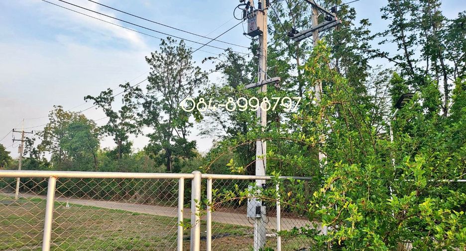 For sale land in Nong Phai, Phetchabun
