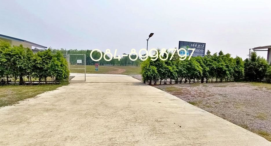 For sale land in Nong Phai, Phetchabun