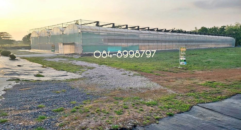 For sale land in Nong Phai, Phetchabun