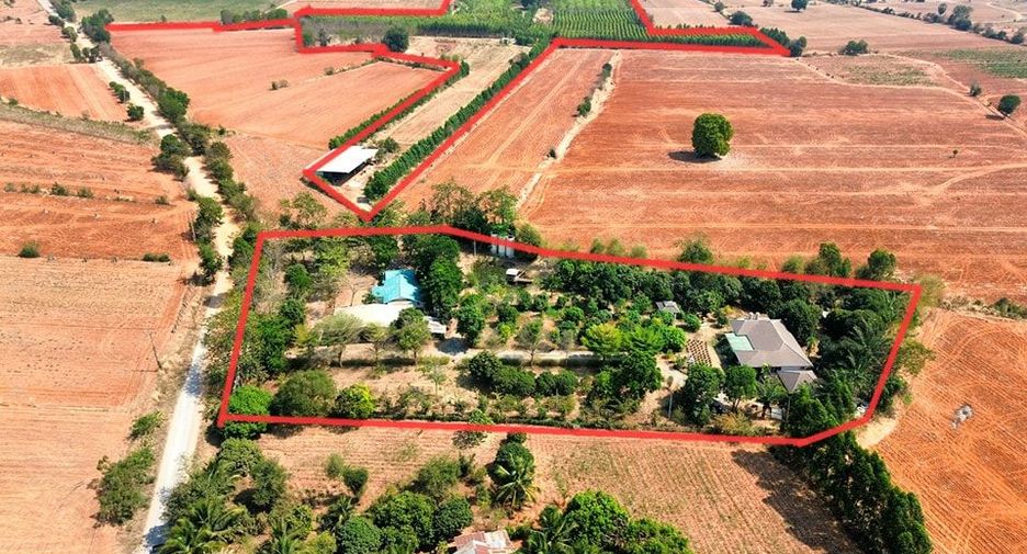 For sale land in Dan Khun Thot, Nakhon Ratchasima