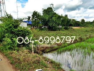 For sale land in Nong Phai, Phetchabun
