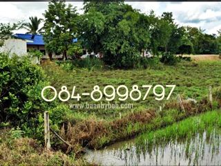 For sale studio land in Nong Phai, Phetchabun