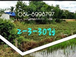 For sale land in Nong Phai, Phetchabun