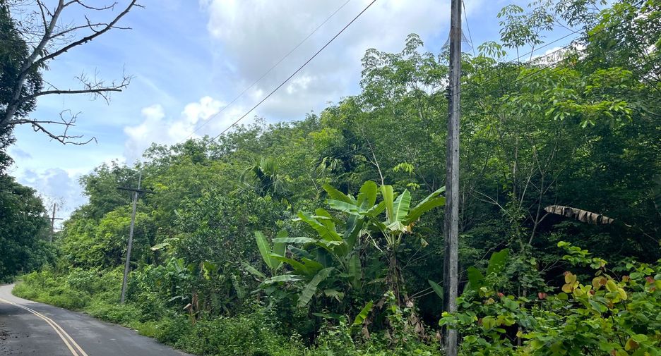 For sale land in Takua Thung, Phang Nga
