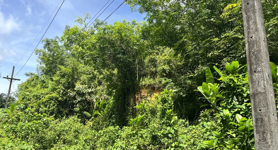 For sale land in Takua Thung, Phang Nga