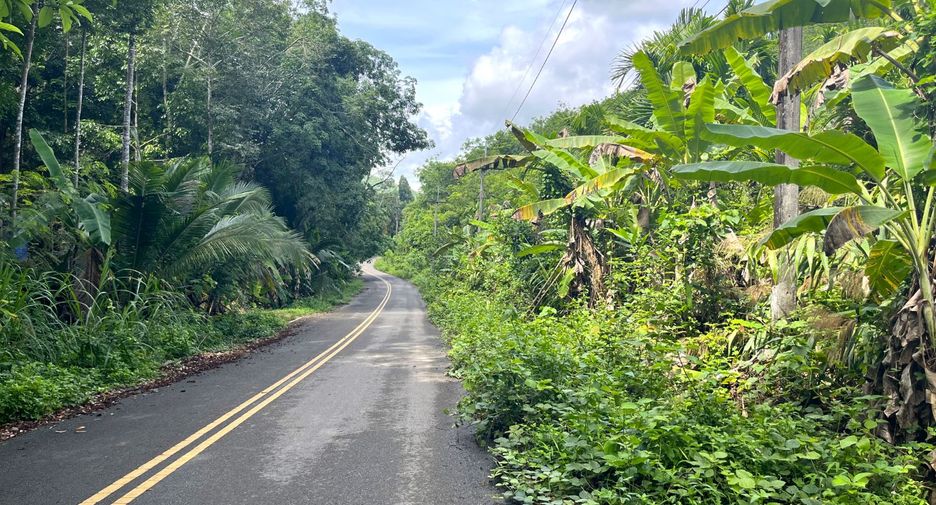 For sale land in Takua Thung, Phang Nga