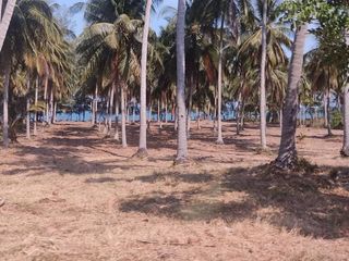 For sale land in Bang Saphan, Prachuap Khiri Khan