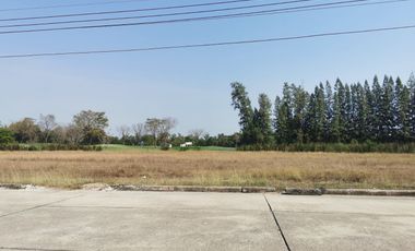 For sale land in Wang Noi, Phra Nakhon Si Ayutthaya