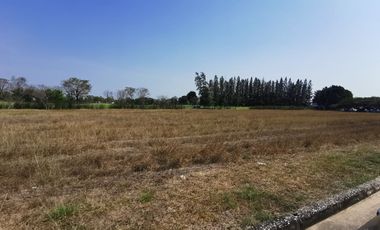 For sale land in Wang Noi, Phra Nakhon Si Ayutthaya
