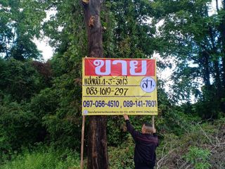 For sale land in Wat Bot, Phitsanulok