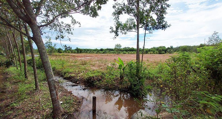 For sale land in Klaeng, Rayong